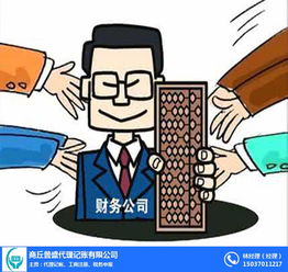 代理記賬與投資咨詢服務(wù) 為企業(yè)和個人提供專業(yè)財務(wù)支持