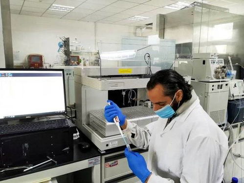 專(zhuān)業(yè)解碼 北京工商大學(xué)食品與健康學(xué)院概覽與投資咨詢(xún)服務(wù)洞察